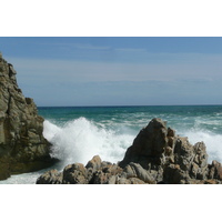 照片 南非(South Africa) 齐齐卡马国家公园(Tsitsikamma National Park) 2008-09 207