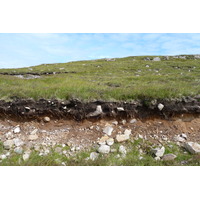照片 英国(United Kingdom) 苏格兰(Scotland) 盖尔洛赫(Gairloch) 2011-07 17
