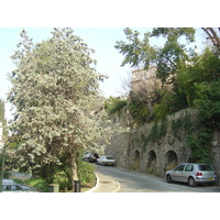 照片 法国(France) 上卡涅(Les Hauts de Cagnes) 2006-01 86