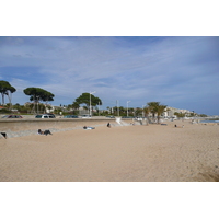 照片 法国(France) 芒德利厄(Mandelieu) 2008-03 28