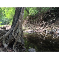 照片 哥斯达黎加(Costa Rica) 蒙特苏马(Montezuma) 2015-03 328