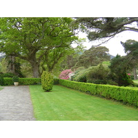 照片 爱尔兰(Ireland) 凯里郡(Kerry) 基拉尼国家公园(Killarney National Park) 马克罗斯庄园(Muckross House) 2004-05 15