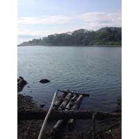 照片 哥斯达黎加(Costa Rica) 多米尼卡尔(Dominical) 2015-03 111