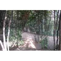 照片 意大利(Italy) 罗马(Rome) 夏拉别墅公园(Villa Sciarra) 2007-11 11