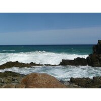 照片 南非(South Africa) 齐齐卡马国家公园(Tsitsikamma National Park) 2008-09 330
