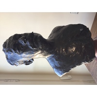 照片 法国(France) 巴黎(Paris) 罗丹博物馆(Rodin Museum) 2017-06 9
