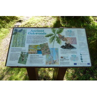 照片 英国(United Kingdom) 苏格兰(Scotland) 萨伦(Salen) 2011-07 51