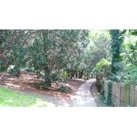 照片 法国(France) 巴黎(Paris) 肖蒙山丘公园(Parc des Buttes Chaumont) 2007-08 279