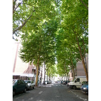 照片 法国(France) 巴黎(Paris) 巴黎西郊(Around Paris west) 2007-08 22