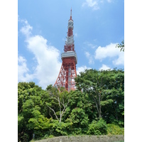 照片 日本(Japan) 东京(Tokyo) 芝公园(Shiba Park) 2010-06 8