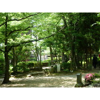 照片 日本(Japan) 东京(Tokyo) 芝公园(Shiba Park) 2010-06 11