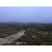 照片 法国(France) 科西嘉岛(Corsica) 阿尔塔罗卡(Alta Rocca) 2017-09 7