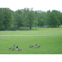 照片 瑞典(Sweden) 卓宁霍姆宫(Drottningholm) 2005-06 7