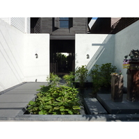 照片 泰国(Thailand) 清迈(Chiang Mai) 拉查丹嫩路(Rachadamnoen road) 2009-12 48
