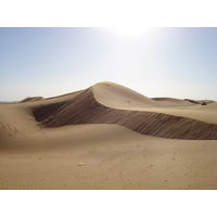 照片 阿联酋(United Arab Emirates) 迪拜至艾因公路(Dubai to Al Ain road) 2005-03 27