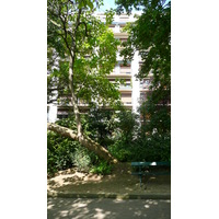 照片 法国(France) 巴黎(Paris) 肖蒙山丘公园(Parc des Buttes Chaumont) 2007-08 237