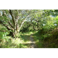 照片 英国(United Kingdom) 苏格兰(Scotland) 萨伦(Salen) 2011-07 75