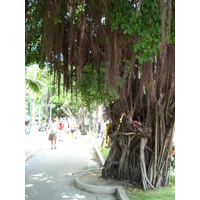 照片 泰国(Thailand) 芭提雅海滩(Pattaya Beach) 2007-02 42