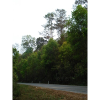 照片 泰国(Thailand) 清迈至拜县公路(Chiang Mai to Pai road) 2007-02 134