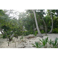 照片 斐济(Fiji) 海滩寻宝者岛(Beachcomber Island) 2010-05 24