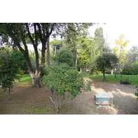 照片 意大利(Italy) 罗马(Rome) 夏拉别墅公园(Villa Sciarra) 2007-11 55