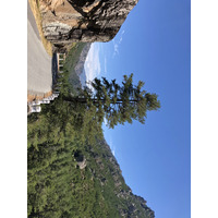 照片 法国(France) 科西嘉岛(Corsica) 雷斯托尼卡山谷(La Restonica) 2020-07 4
