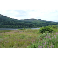 照片 英国(United Kingdom) 特罗萨克斯(The Trossachs) 2011-07 115