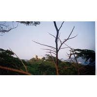 照片 越南(Vietnam) 芽庄(Nha Trang) 1995-12 19