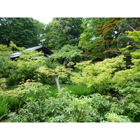 照片 日本(Japan) 东京(Tokyo) 根津美术馆(Nezu Museum) 2010-06 52