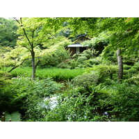 照片 日本(Japan) 东京(Tokyo) 2010-06 24