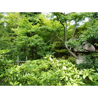 照片 日本(Japan) 东京(Tokyo) 根津美术馆(Nezu Museum) 2010-06 40