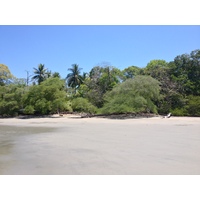照片 哥斯达黎加(Costa Rica) 曼努埃尔安东尼奥(Manuel Antonio) 2015-03 316