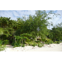 照片 斐济(Fiji) 海滩寻宝者岛(Beachcomber Island) 2010-05 26