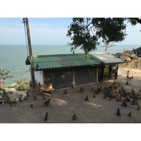 照片 泰国(Thailand) 华欣(Hua hin) 2016-01 12