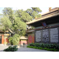 照片 中国(China) 北京(Beijing) 紫禁城(Forbidden City) 2002-05 124