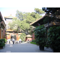 照片 中国(China) 北京(Beijing) 紫禁城(Forbidden City) 2002-05 110
