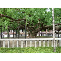 照片 日本(Japan) 京都(Kyoto) 西本愿寺(Nishi Honganji Temple) 2010-06 15