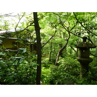 照片 日本(Japan) 东京(Tokyo) 根津美术馆(Nezu Museum) 2010-06 64