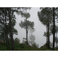 照片 巴基斯坦(Pakistan) 穆里(Murree) 2006-08 5