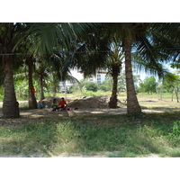 照片 泰国(Thailand) 芭提雅(Pattaya) 芭提雅南路(Pattaya Tai Road) 2007-03 48