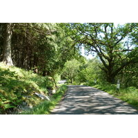 照片 英国(United Kingdom) 苏格兰(Scotland) 萨伦(Salen) 2011-07 34