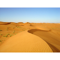照片 阿联酋(United Arab Emirates) 迪拜至艾因公路(Dubai to Al Ain road) 2005-03 4