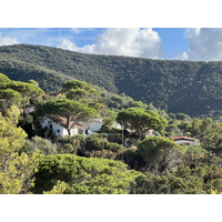 照片 意大利(Italy) 厄尔巴岛(Isola d'Elba) 2021-09 85