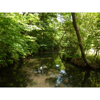 照片 日本(Japan) 东京(Tokyo) 根津美术馆(Nezu Museum) 2010-06 76