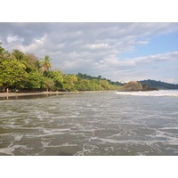 照片 哥斯达黎加(Costa Rica) 曼努埃尔安东尼奥(Manuel Antonio) 2015-03 505