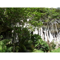 照片 新喀里多尼亚(New Caledonia) 利富岛(Lifou) 约西普(Josip) 2010-05 2