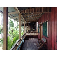 照片 哥斯达黎加(Costa Rica) 卡维塔(Cahuita) 2015-03 135