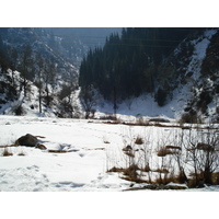 照片 哈萨克斯坦(Kazakhstan) 伊犁阿拉套国家公园(Ile Alatau National Park) 2007-03 101