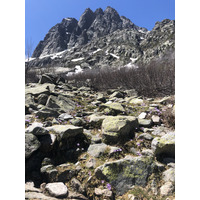 照片 法国(France) 科西嘉岛(Corsica) 梅洛湖和卡皮泰洛湖(Lac de Melo et Capitello) 2021-06 68