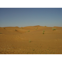 照片 阿联酋(United Arab Emirates) 迪拜至艾因公路(Dubai to Al Ain road) 2005-03 11